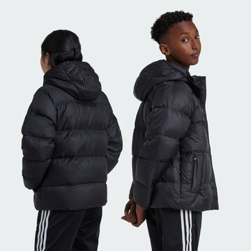 ADIDAS ORIGINALS Winter Jacket 'Adicolor' in Black