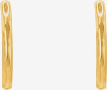 Heideman Earrings 'Laeca' in Gold