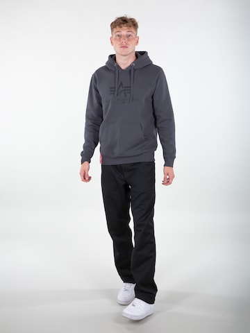 Sweat-shirt ALPHA INDUSTRIES en gris