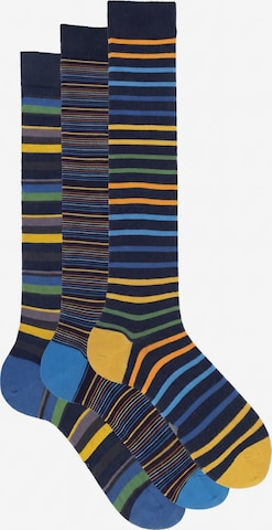 Gambaletto '3 Pack Calze Lunghe Fantasia - Confezione Regalo - Ciocca' di Ciocca in colori misti: frontale