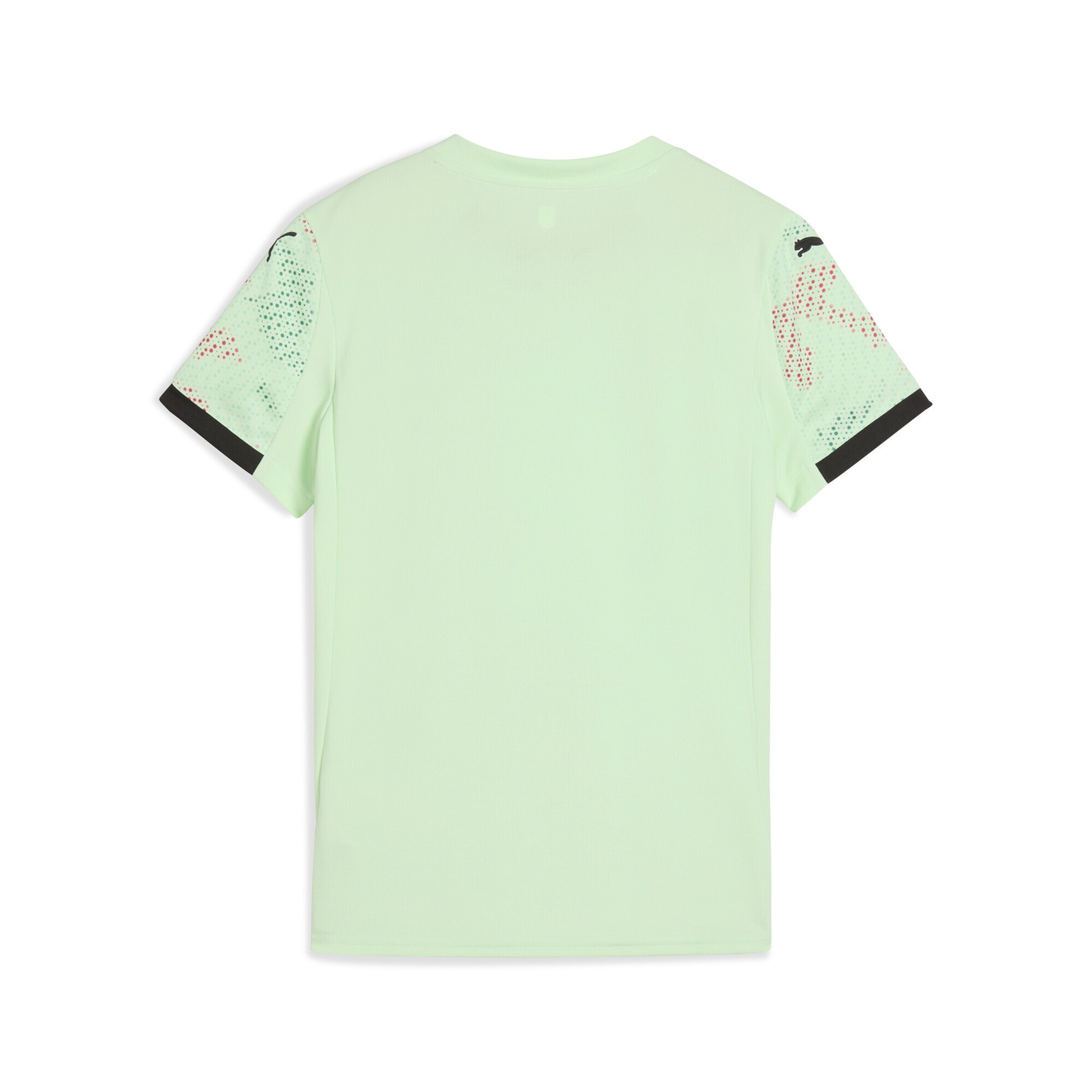 PUMA Jersey 'Portugal Team 2025' in Green