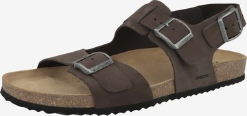 GEOX Sandals 'Ghita A' in Brown