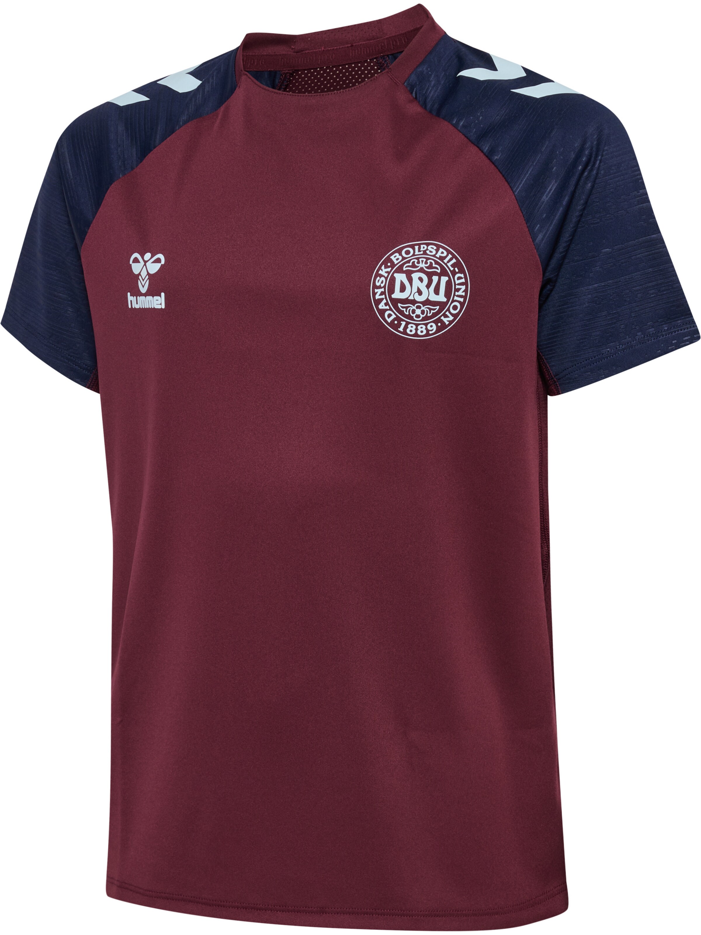 Hummel Performance shirt 'DBU 26 Pro' in Red