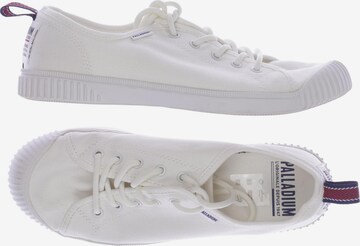 Palladium Sneakers & Trainers in 38 in White: front