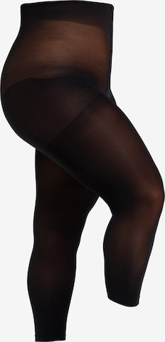 camano Regular Leggings 'Curvy ' in Black: front