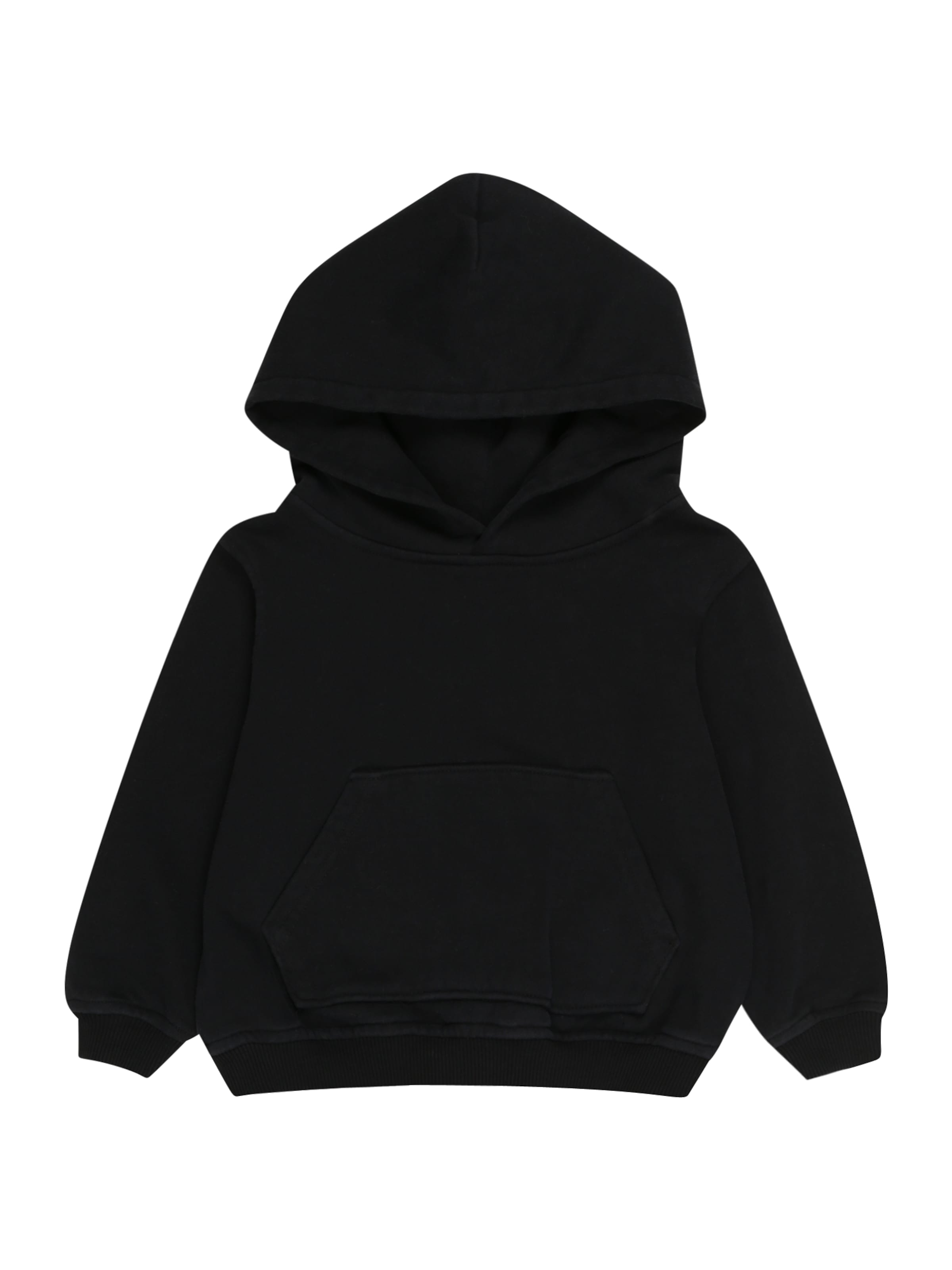 Sinned x ABOUT YOU Sweatshirt 'Tobias' in Black: front