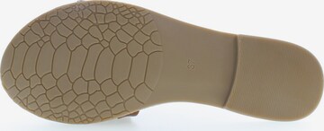 U.S. POLO ASSN. Sandals 'Linda' in Brown