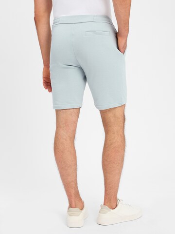 Finshley & Harding Regular Pants in Blue