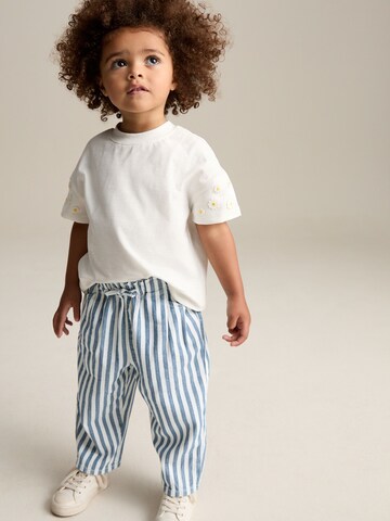 Next Regular Trousers in Blue