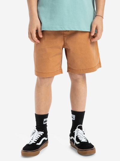 QUIKSILVER Pants 'Taxer Youth 15' in Sepia, Item view
