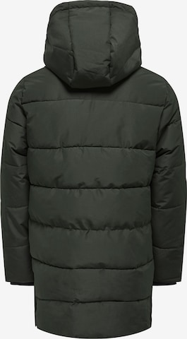 Only & Sons Winter Coat 'CARL' in Green