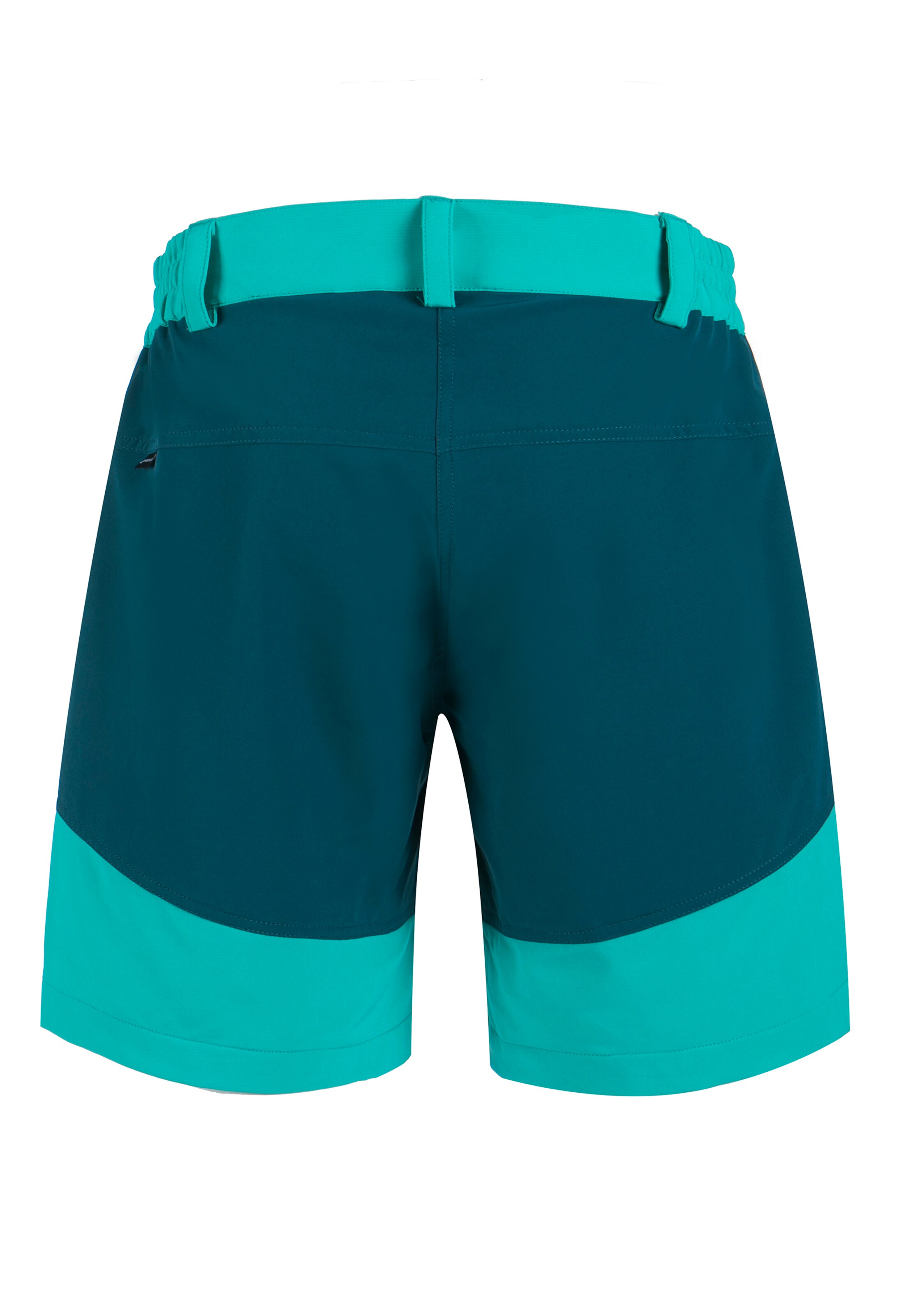 Whistler Regular Sports trousers 'LALA' in Green