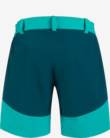 Whistler Regular Workout Pants 'LALA' in Blue