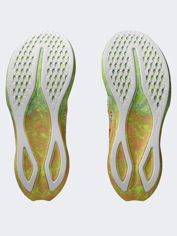 ASICS Laufschuh 'Noosa Tri 16' in Grün