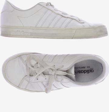 ADIDAS NEO Sneakers & Trainers in 35,5 in White: front