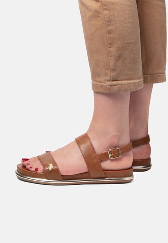Sandalo di U.S. POLO ASSN. in marrone: frontale