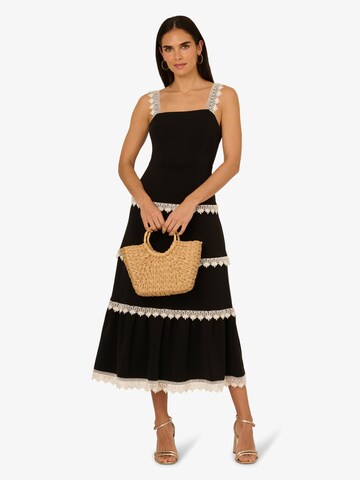 Adrianna Papell Sommerkleid in Schwarz