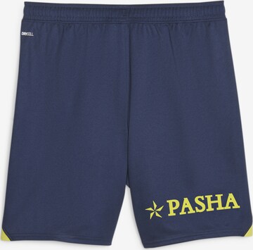 PUMA Regular Workout Pants 'Fenerbahçe S.K.' in Blue