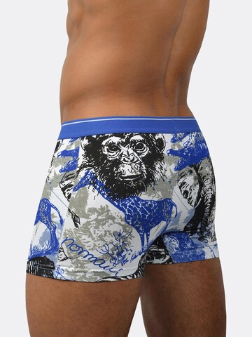 normani Boxershorts in Blauw