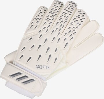 ADIDAS SPORTSWEAR Athletic Gloves in White: front