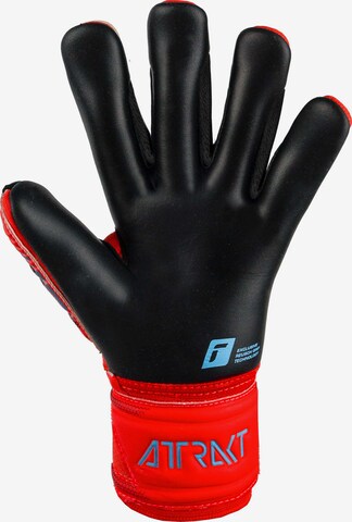 REUSCH Athletic Gloves 'Attrakt Duo' in Red