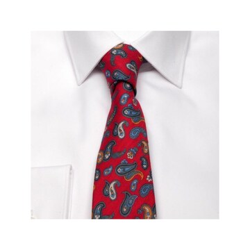 BGents Tie in Red: front