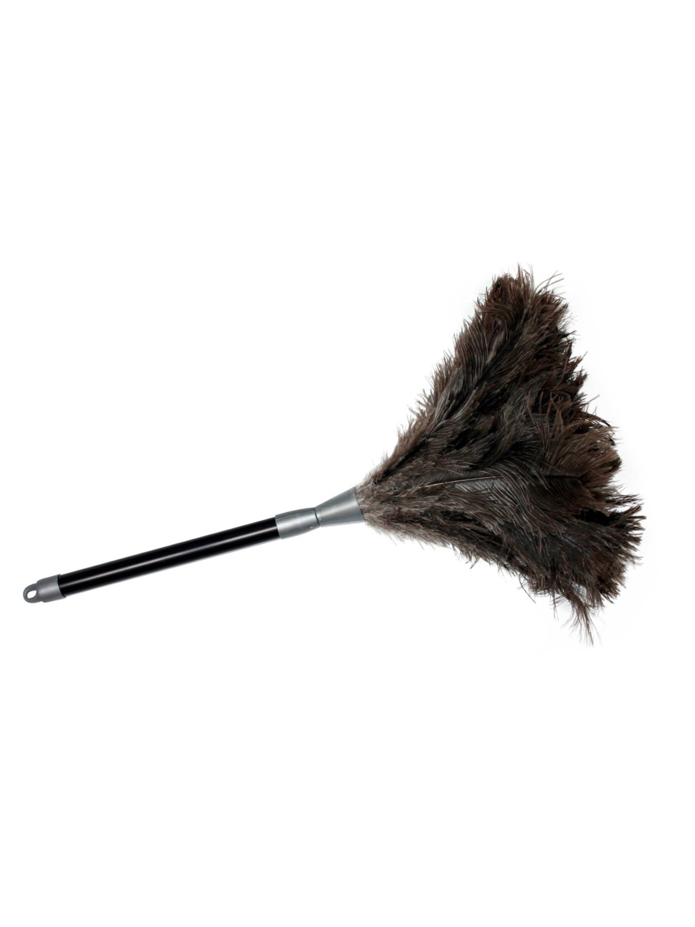 Wenko Staubwedel in Schwarz: Vorderseite