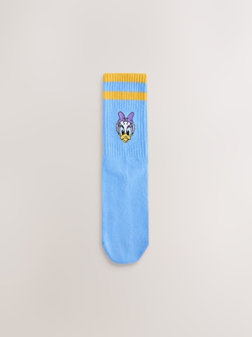 Next Socks in Mixed colours