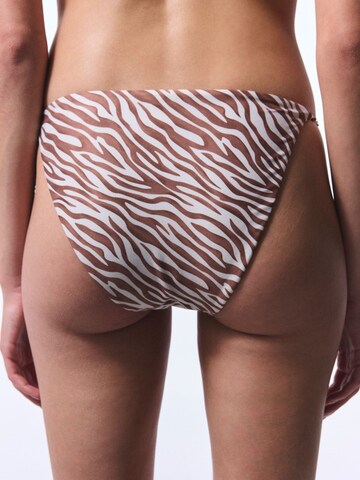 Penti Bikinihose 'Bikinihosen'‌‌‌‌‌‌‌ in Mischfarben