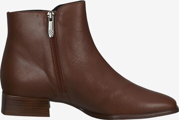 PETER KAISER Ankle Boots in Braun