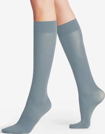 FALKE Over the Knee Socks 'Pure Matt' in Blue: front