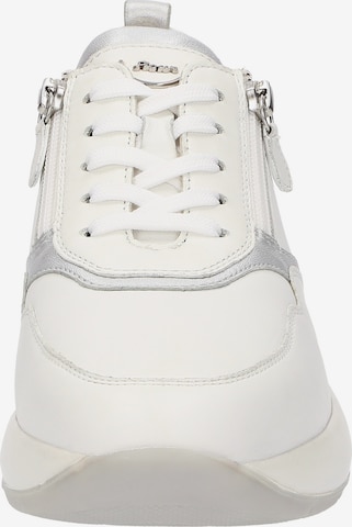 SIOUX Sneakers 'Segolia-705-J' in White