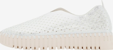 ILSE JACOBSEN Slipper 'Tulip3884' in Weiß: Vorderseite