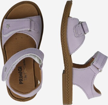 PRIMIGI Sandals & Slippers in Purple