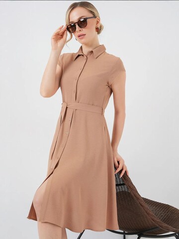 Bigdart Shirt Dress in Brown