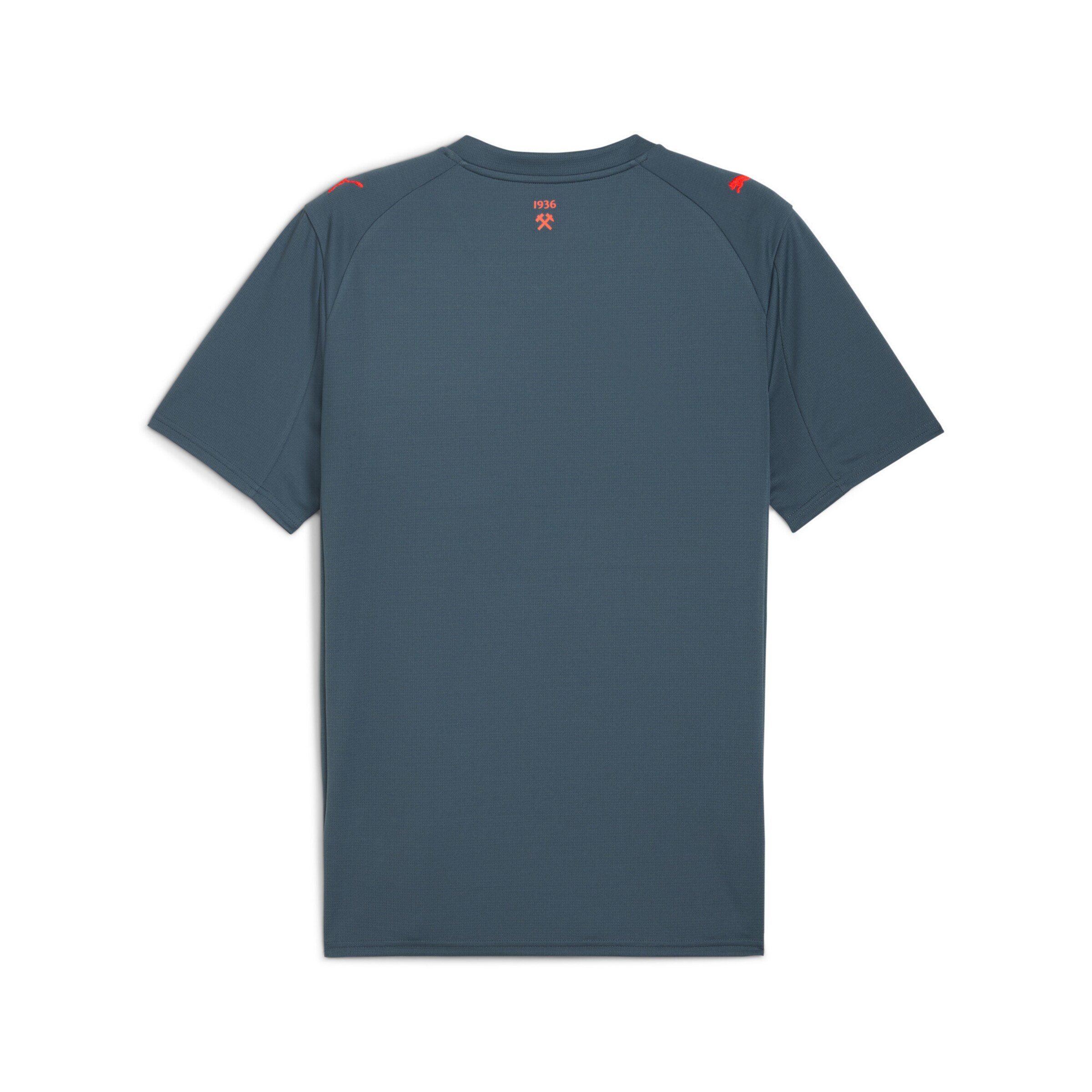 PUMA Jersey 'FC Shakhtar Donetsk 25/26' in Grey