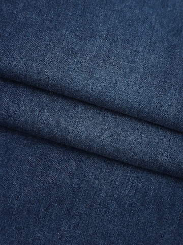 LapaPlus Wide leg Jeans in Blauw