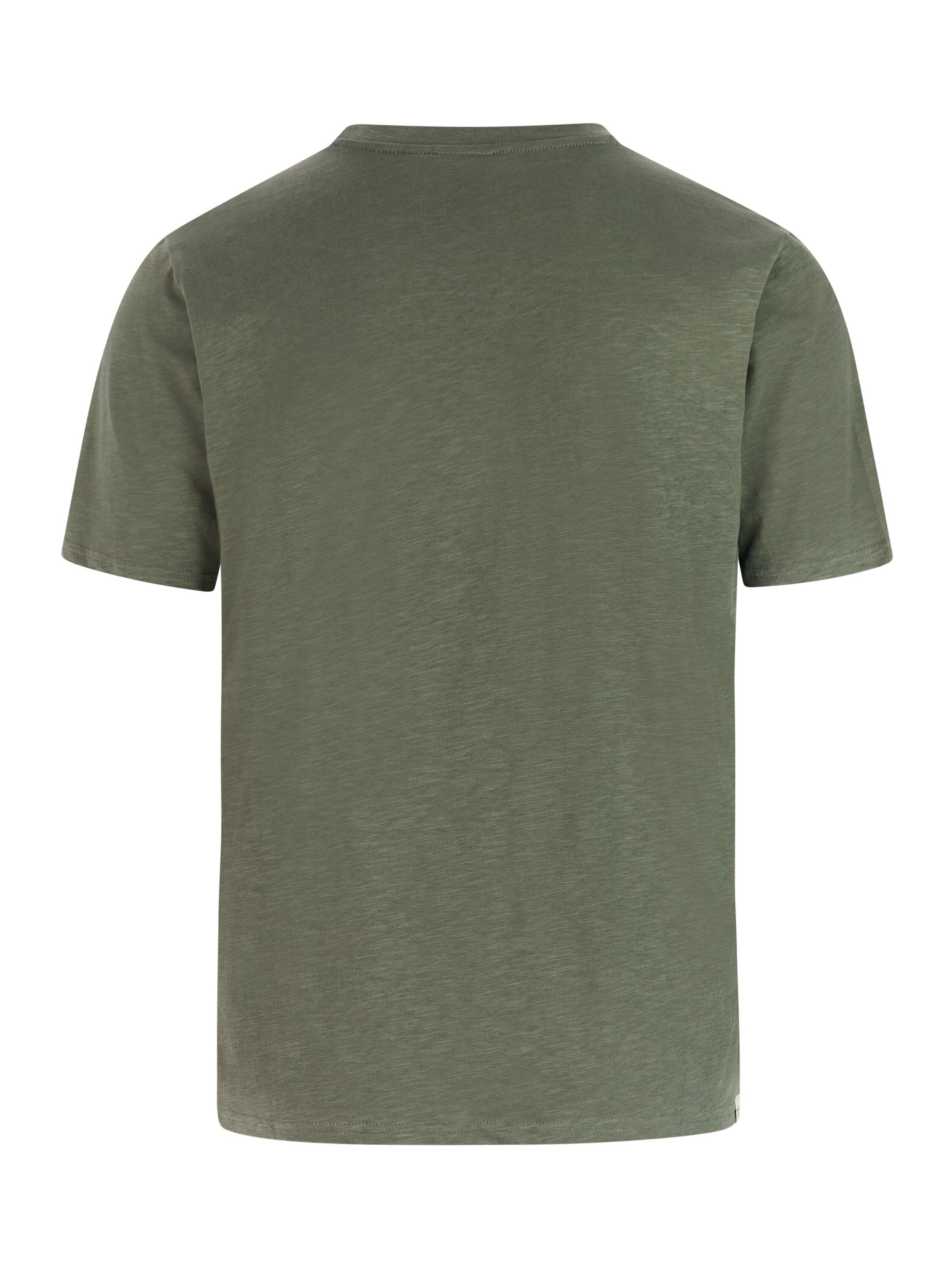 PROTEST Shirt 'PRTCruz' in Green