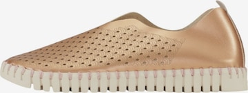 ILSE JACOBSEN Classic Flats 'TULIP3576' in Gold: front