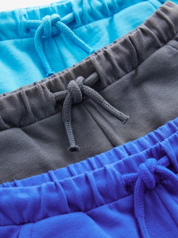 Next Regular Broek in Blauw