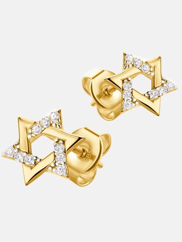 DIAMANT LETERNEL Ohrringe‌‌‌‌ in Gelb