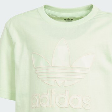 ADIDAS ORIGINALS Set 'Summer' in Groen