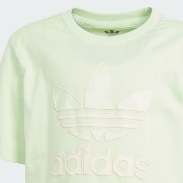 ADIDAS ORIGINALS Set 'Summer' in Green