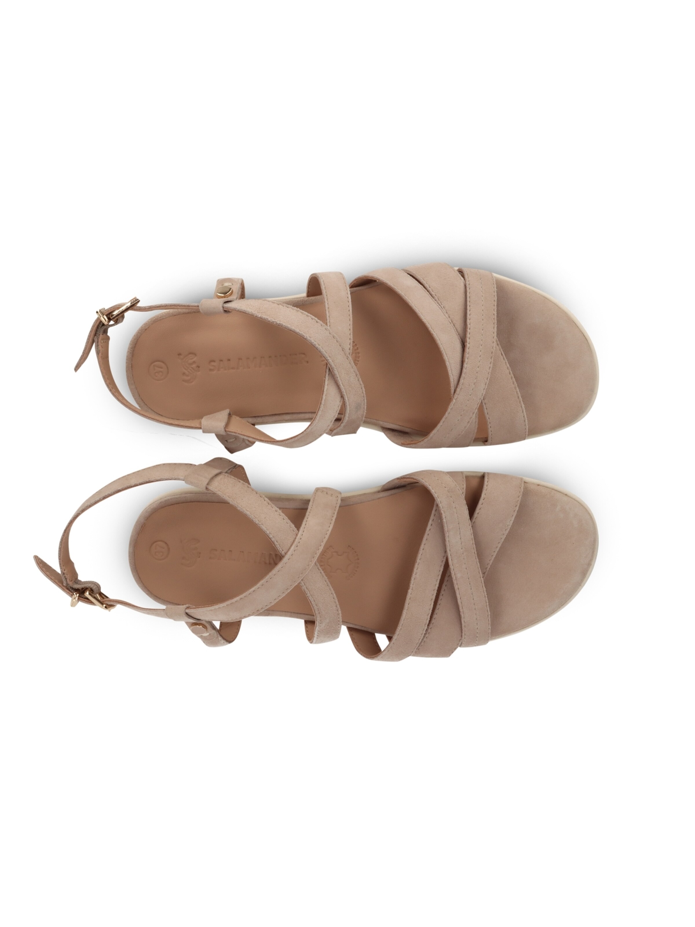 SALAMANDER Páskové sandály – béžová