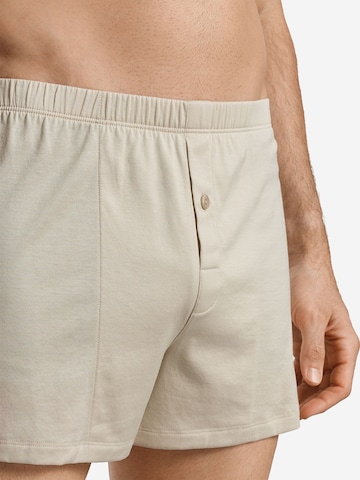 Hanro Boxer shorts ' Cotton Sporty ' in Beige