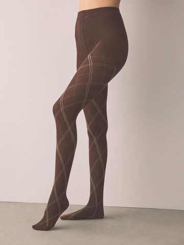 Next Колготки в Коричневый: спереди