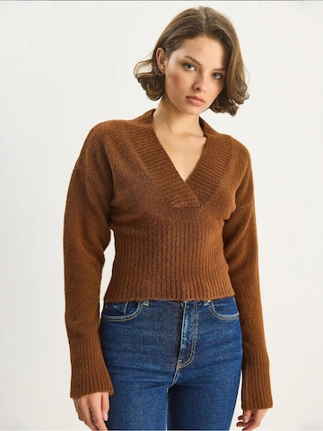 Pull-over 'Pullover' Bianco Lucci en beige