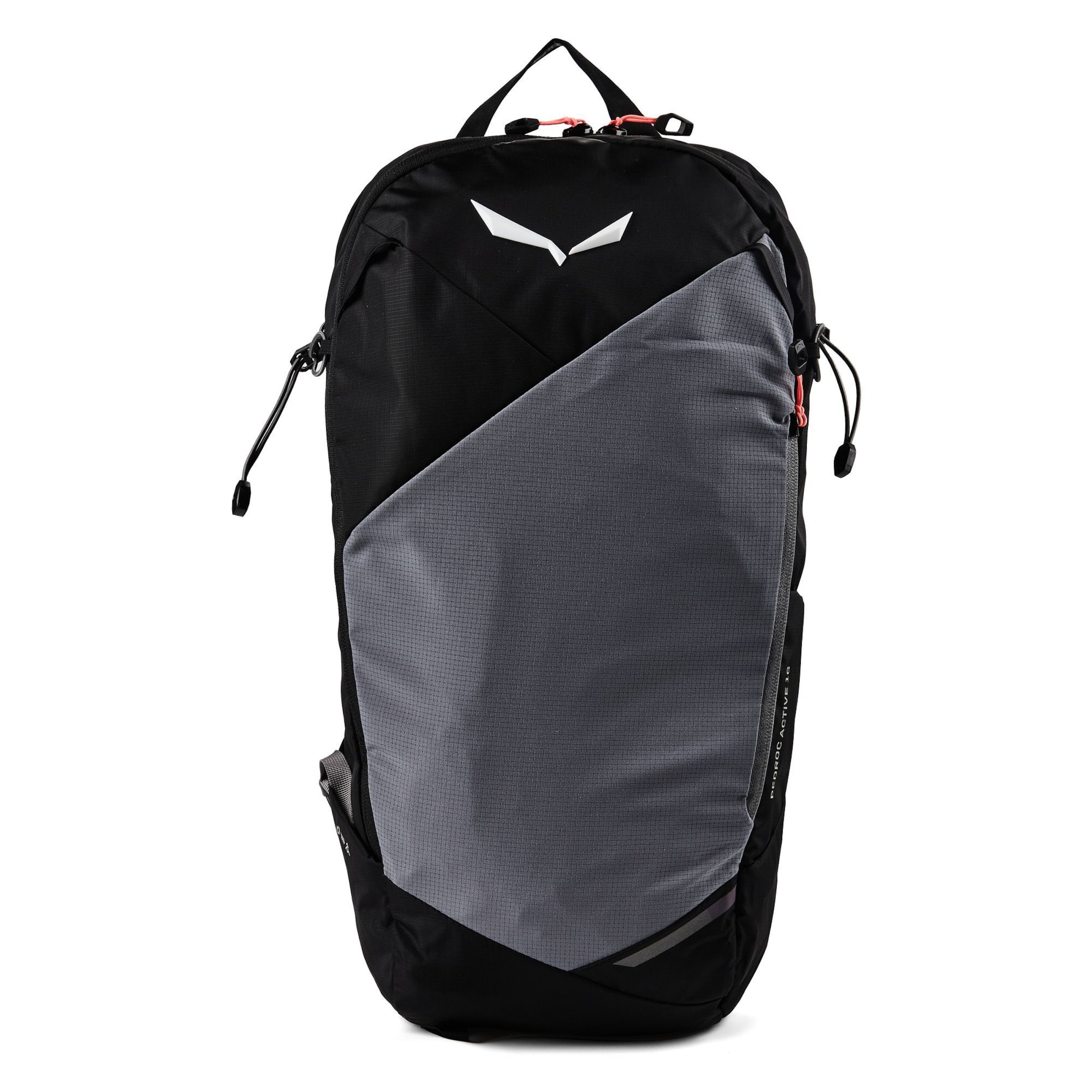 Sac à dos de sport 'Pedroc Active ' SALEWA en gris : devant