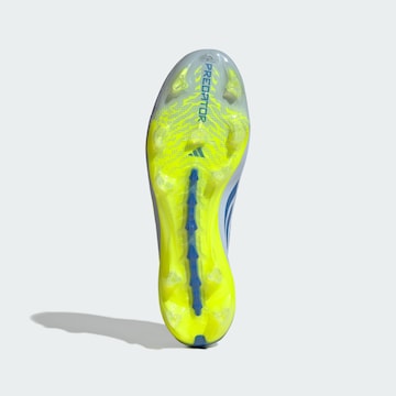 Chaussure de foot 'Predator Elite' ADIDAS PERFORMANCE en bleu