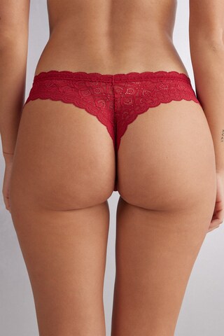 INTIMISSIMI Thong in Red